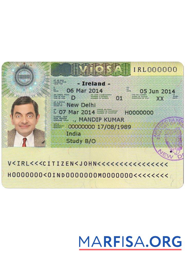 Printable Irealand visa example